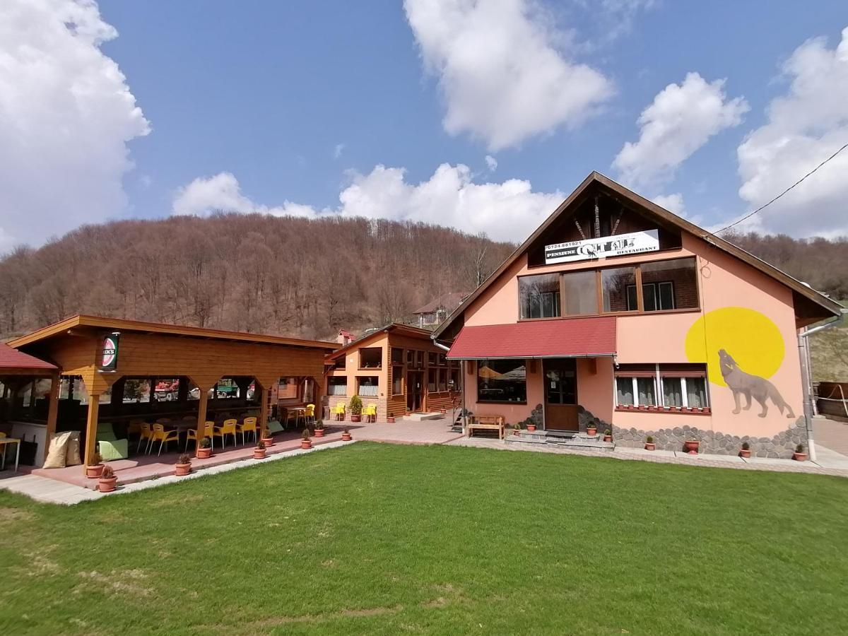 Pensiunea Colt Alb Băile Homorod Exterior foto
