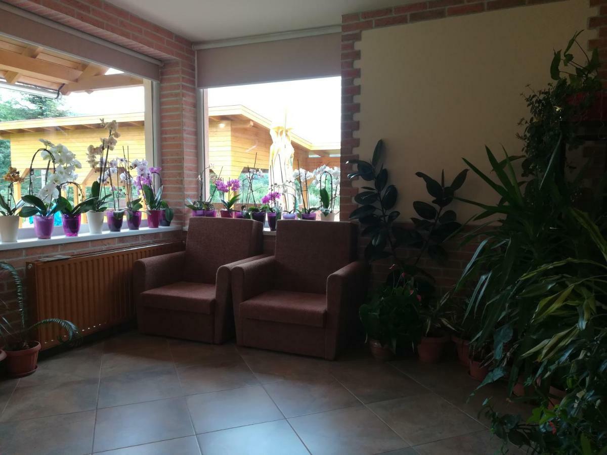 Pensiunea Colt Alb Băile Homorod Exterior foto