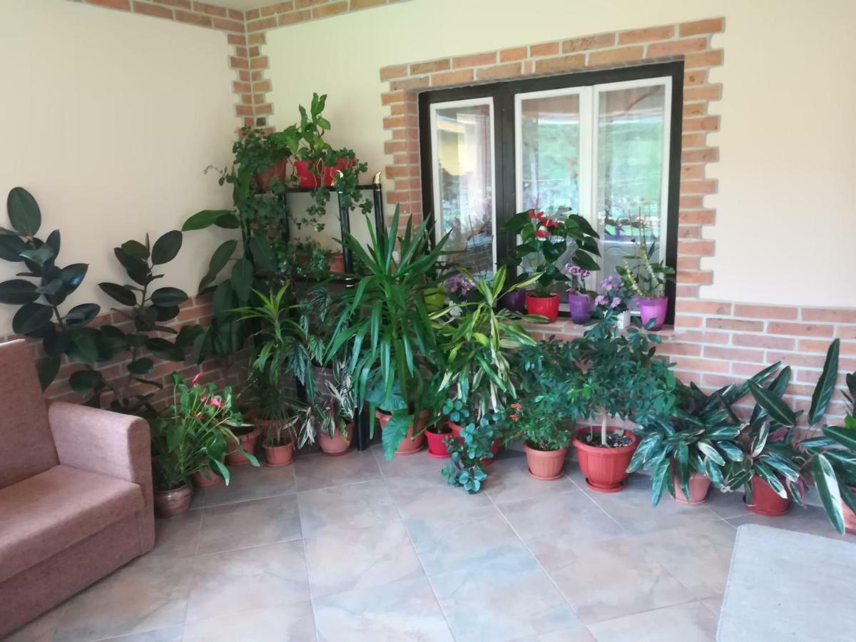 Pensiunea Colt Alb Băile Homorod Exterior foto